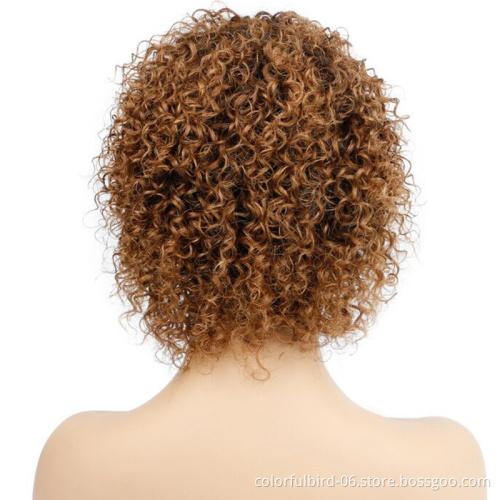 Cheap 1b/30 Ombre Human Hair for Women Peruvian Curly Wig with Bangs Afro Kinky Curly Wigs Jerry Curly Brown Short Wig